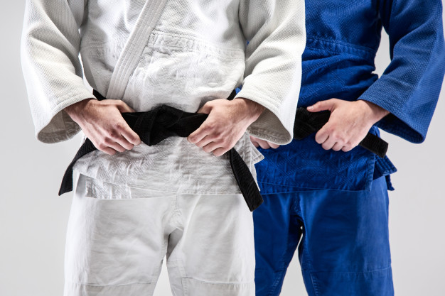 lenvol judo adulte